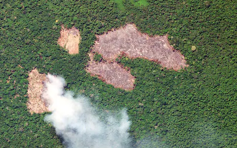 Amazon rainforest monitoring