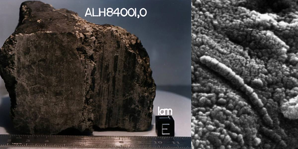 Interstellar dust grains