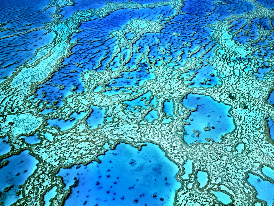 Coral reef monitoring